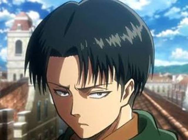 Levi