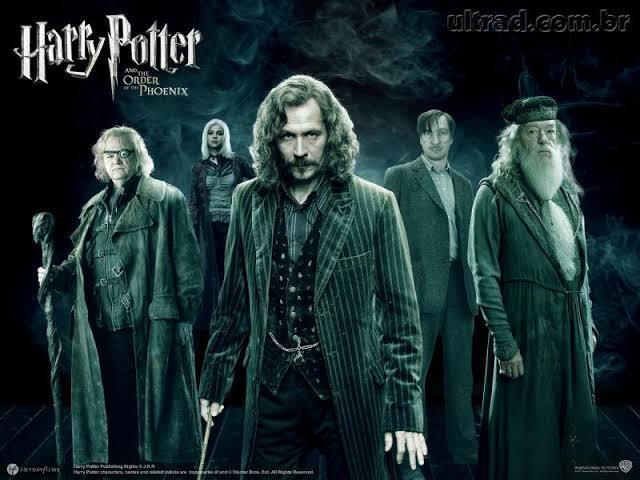 Ordem da Fênix vs Armada de Dumbledore