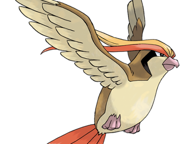 ou o pidgeoto