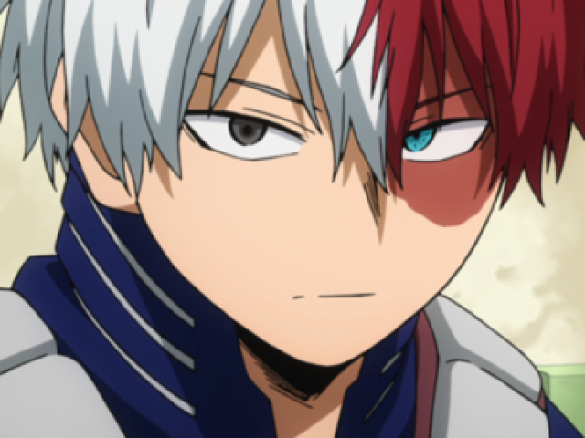 Todoroki Shouto