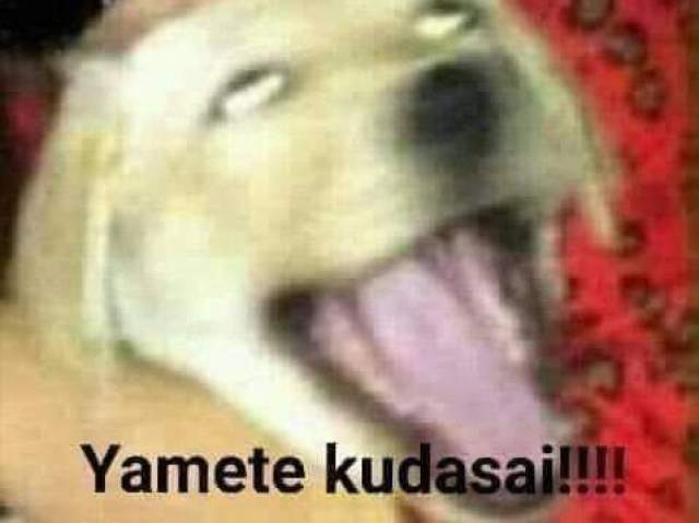 ᅠᅠᅠᅠᅠᅠᅠᅠᅠᅠ
ᅠᅠᅠᅠᅠᅠᅠᅠᅠᅠ
ᅠᅠᅠᅠᅠᅠᅠᅠᅠᅠ
ᅠᅠᅠᅠᅠᅠᅠᅠᅠᅠ
ᅠᅠᅠᅠᅠᅠᅠᅠᅠᅠ
ᅠᅠᅠᅠᅠᅠᅠᅠᅠᅠ
ᅠᅠᅠᅠᅠᅠᅠᅠᅠᅠ
ᅠᅠᅠᅠᅠᅠᅠᅠᅠᅠ
ᅠᅠᅠᅠᅠᅠᅠᅠᅠᅠ
ᅠᅠᅠᅠᅠᅠᅠᅠᅠᅠ
ᅠᅠᅠᅠᅠᅠᅠᅠᅠᅠ
ᅠᅠᅠᅠᅠᅠᅠᅠᅠᅠ
ᅠᅠᅠᅠᅠᅠᅠᅠᅠᅠ
ᅠᅠᅠᅠᅠᅠᅠᅠᅠᅠ
ᅠᅠᅠᅠᅠᅠᅠᅠᅠᅠ
ᅠᅠᅠᅠᅠᅠᅠᅠᅠᅠ