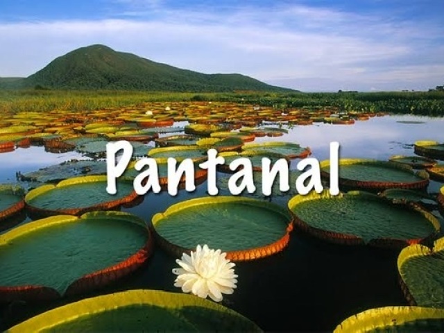 Pantanal