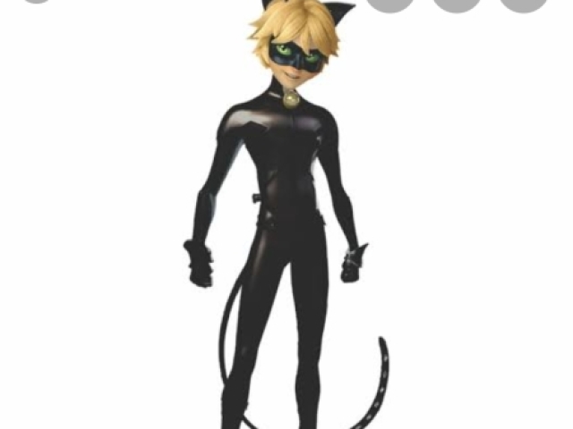 Cat noir