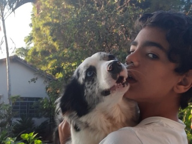 Meu cão