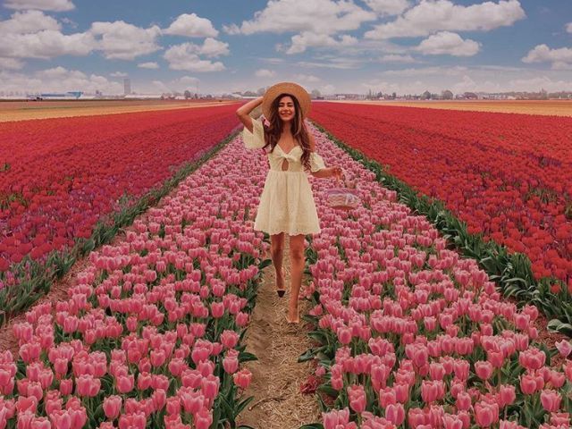 Primavera