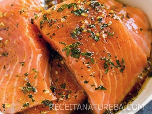 el salmone