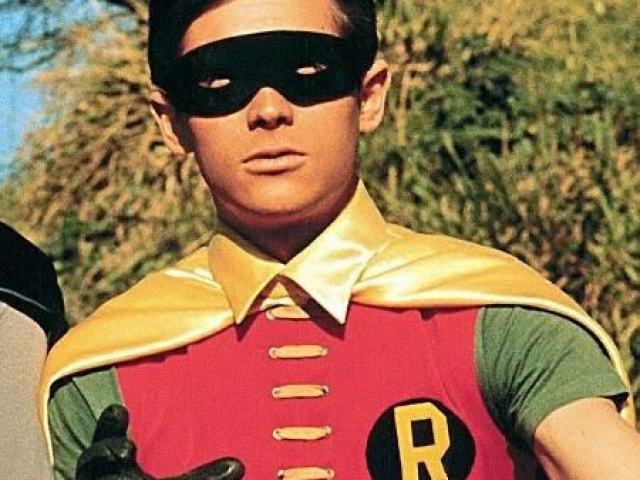 Robin