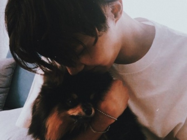 ganhar um dog do Hoseok