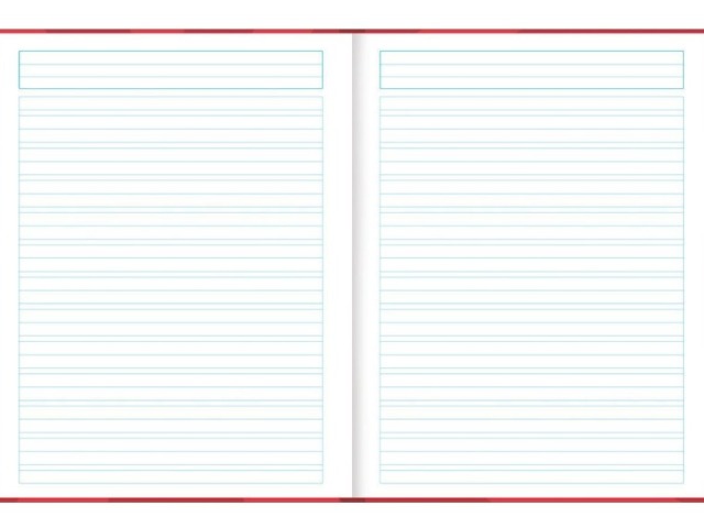 Caderno de Caligrafia, com certeza, não sei escrever kkkk
