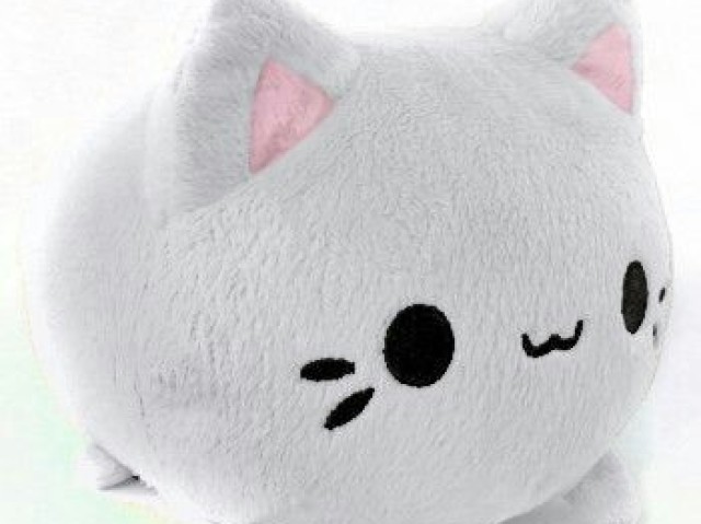 Gato(de novo?)