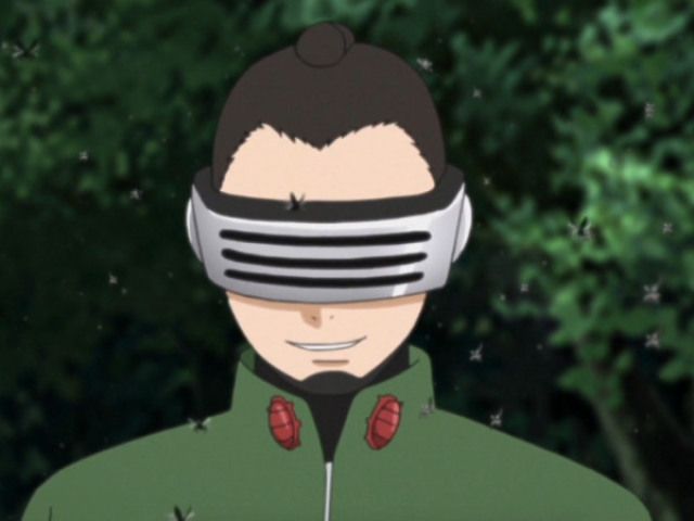 Shino (adulto)