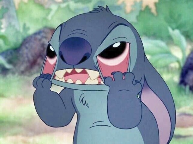 Stitch♡