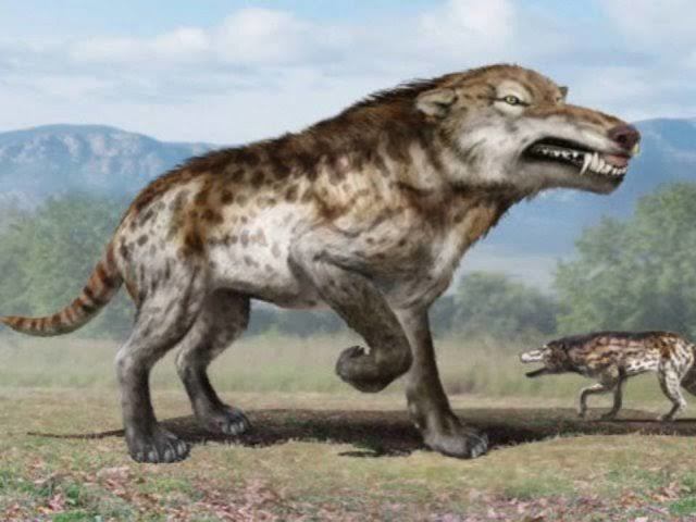 Lobo terrivel