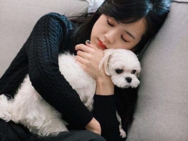 1. Dalgom cachorro da Jisoo do BLACKPINK.