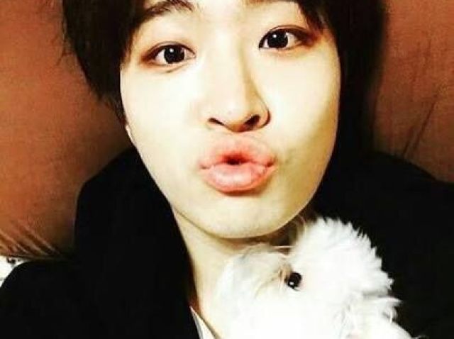 Coco cadela do Yongjae do GOT7.