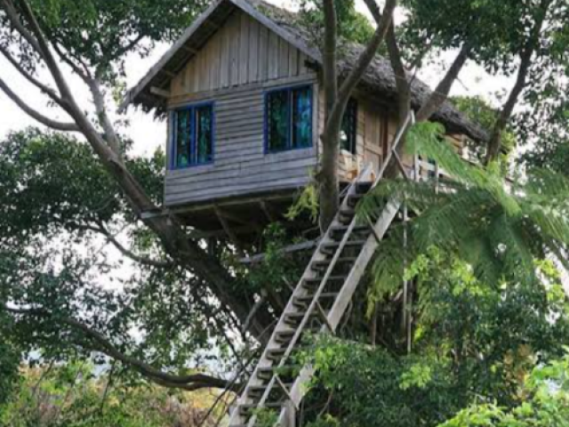 Uma casa na arvore