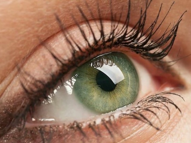 Verdes
