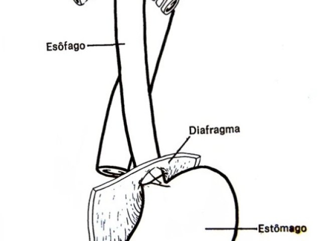 Esôfago