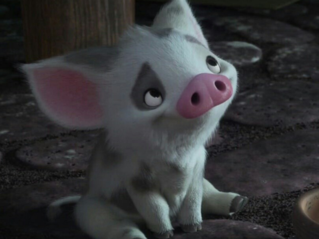 Pua (Moana)