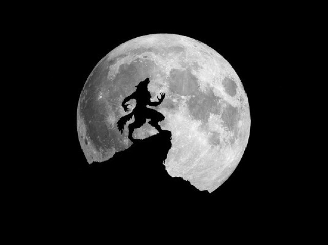 Lobo