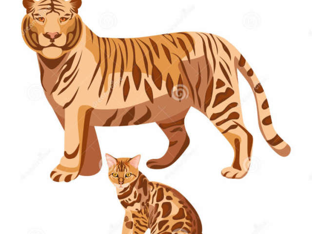 A BIG TIGER AND A SMALL CAT.