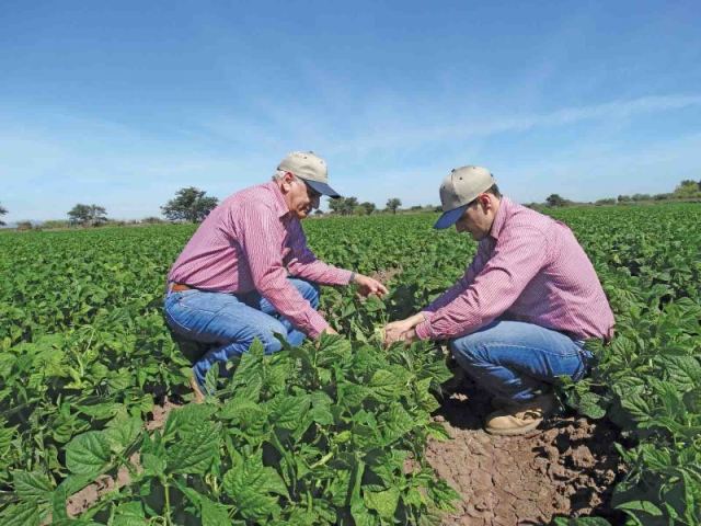 Agricultura