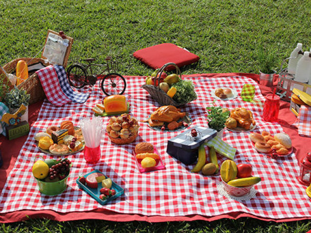 picnic