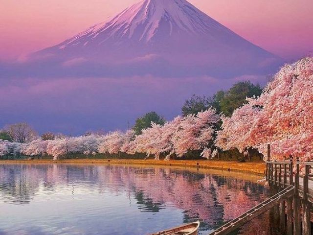 Japão
