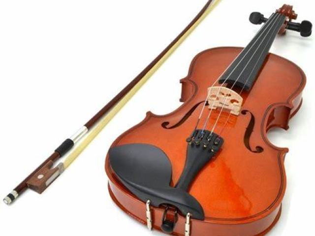 violino