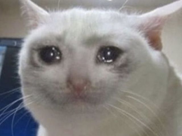 Cara seria moh top,imagina só cara só que eu num quero morre num...