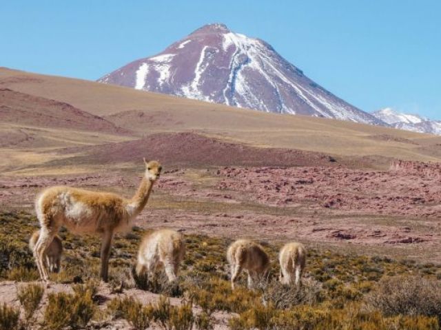 Chile