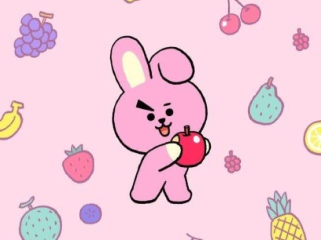 Um coelho chamado 'cooky'