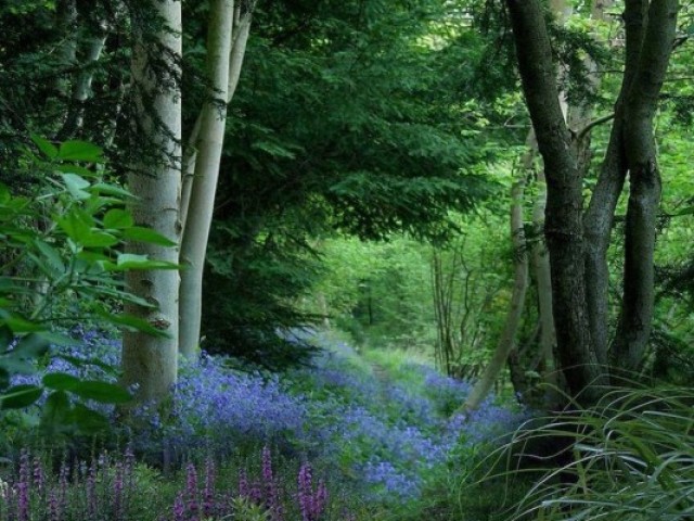 Natureza