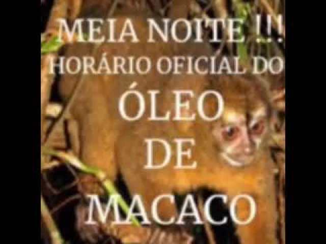 MEIA NOITE!!! HORÁRIO OFICIAL DO ÓLEO DE MACACO