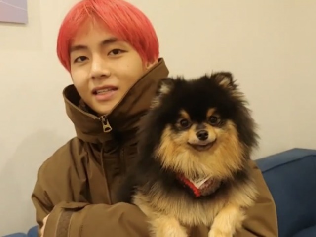 4. Yeontan cachorro do V do BTS.