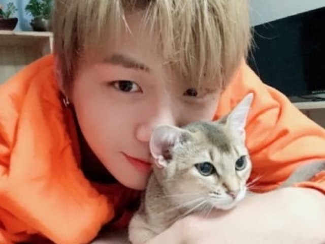 Roney,Ori e Peter gatos de Kang Daniel.