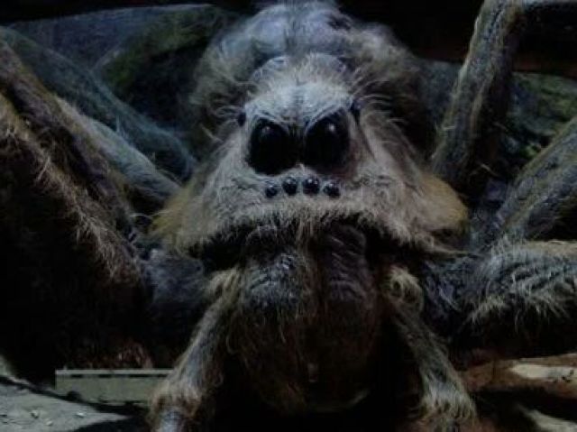 Do aragog