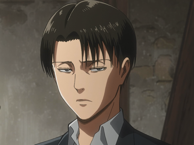 Levi Ackerman!