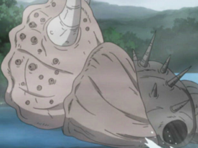 Rei-Concha
