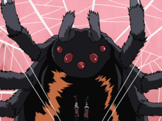 Aranha