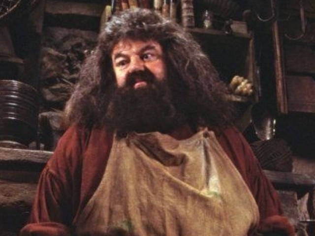 Rubeus Hagrid