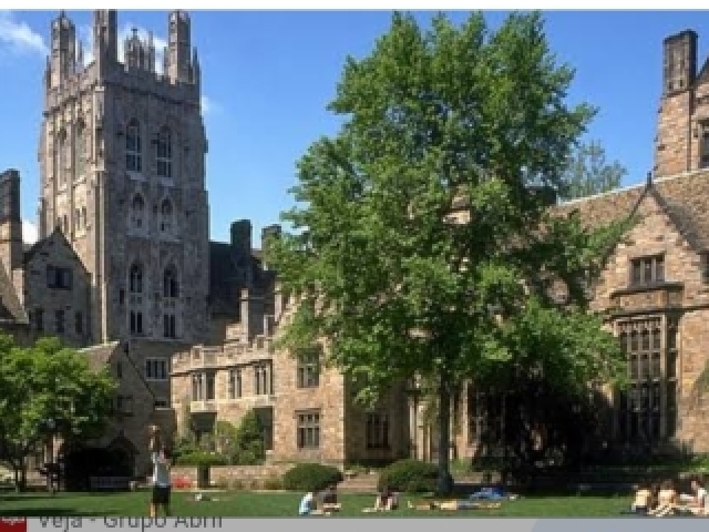 Yale