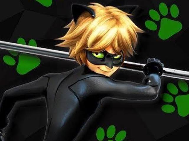 Cat Noir