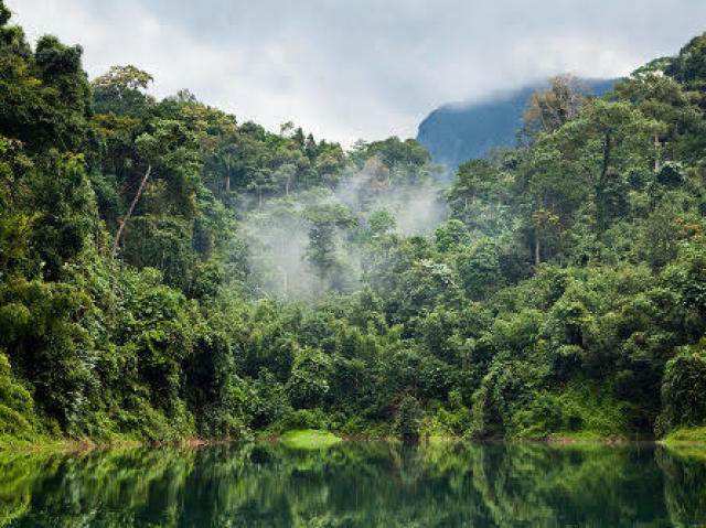 Equatorial Úmido