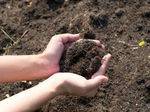 Solo fértil, porém, pobre em cobertura vegetal.