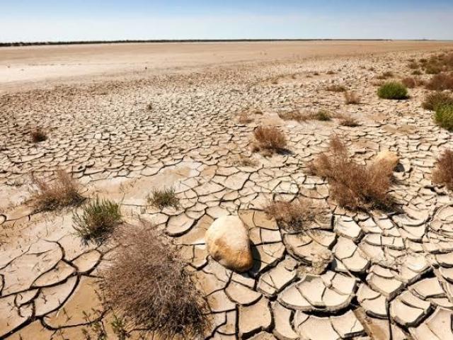 Desertificação