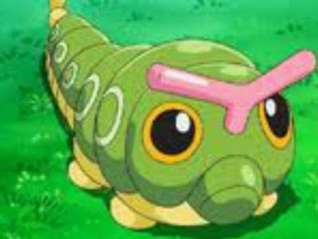 Caterpie