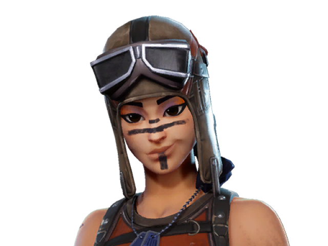 Renegade raider