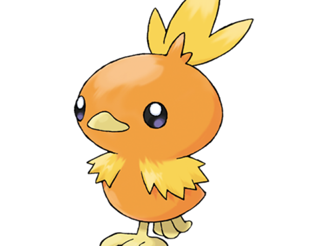 Torchic