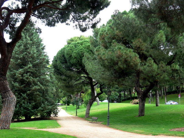 caminhada no parque